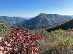 -大岭沟猕猴桃谷风景区