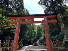 -奈良公园