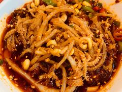 -付小姐在成都(中山公园店)