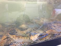 -建兴酒家(班塔通分店)