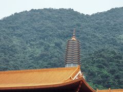 -深圳仙湖植物园