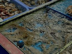 -南沙十九涌渔人码头-南门