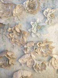 -星豆豆儿童摄影(南郊太白南路店)