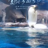 五一游玩‖武汉海昌极地海洋公园