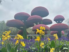 -沈阳植物园