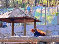 -大连森林动物园