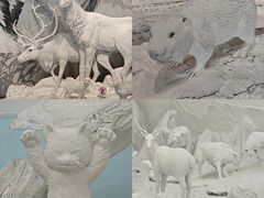 -中国湿地博物馆