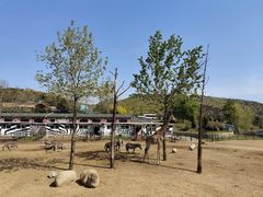 -大连森林动物园