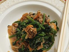 -中苑海韵