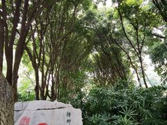 -柳侯公园