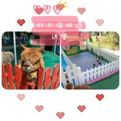 -萌宠亲子动物乐园(槐房万达店)