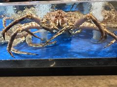 -七鲜超市(万向城店)