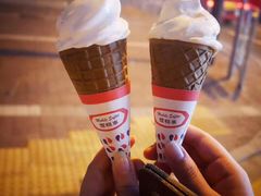 -富豪雪糕车流动点(尖沙咀店)