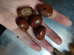 -高记福桂桂花糖炒栗(鼓楼店)
