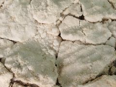 -吉英盐焗鸡(文中路店)