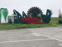 -上海都市菜园