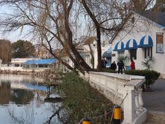 -J Create城市露营咖啡·简餐·宠物(上海动物园店)