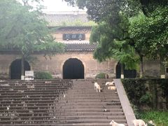 -灵谷景区