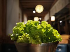 生菜-九田家黑牛烤肉料理(珠江摩尔店)