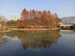 -诺贝尔湖公园