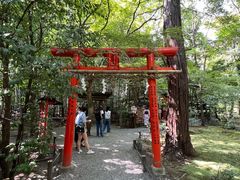 -野宫神社