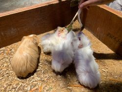 -酷嗒动物文化乐园(cutezoo西溪乐天城店)