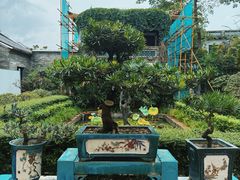 -东莞市可园博物馆