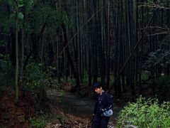 -铜陵市铜官山森林公园