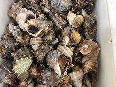 -宾朋海鲜特色美食餐厅·纯手工鲅鱼水饺(兴海路店)