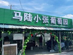 -马陆小张葡萄园农家乐