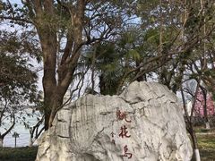 -金鸡湖桃花岛