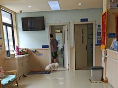 -宠颐生宠物医院·骨外科·犬猫全科诊疗中心(池州店)