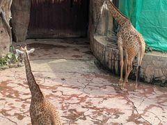 -长鹿旅游休博园