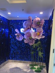 -深圳春天阳光医院·轮廓抗衰中心