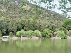 -黑龙潭公园