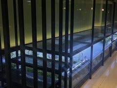 -CHIC1699远洋私厨