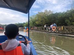 -吴淞炮台湾湿地森林公园烧烤区