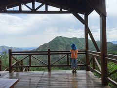 -大岭沟猕猴桃谷风景区