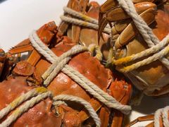 -杨氏青龙虾·羊肉季(金盛路总店)