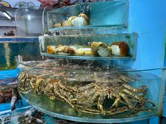 -广东名门