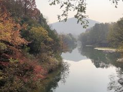 -浙江宾馆·花园餐厅·自助餐厅·茶吧