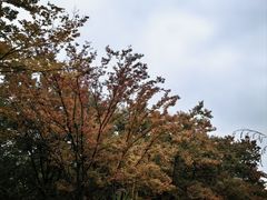 -白鹭湾湿地公园