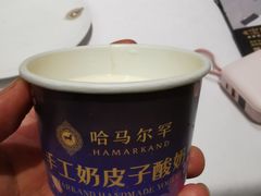 奶皮子酸奶-哈马尔罕·丝路美食清真·异国风情主题餐厅(茂林居店)