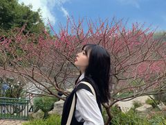 -重庆彩云湖湿地公园