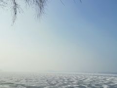 -丁香湖公园