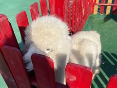 -浙江安吉JW万豪酒店