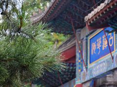 -莲池书院博物馆