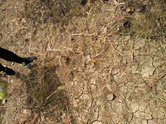 -万源龙顺度假庄园生态观光园