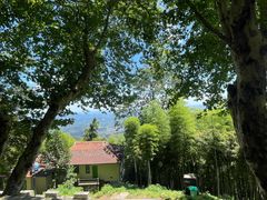 -莫干山风景区