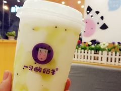 -一只酸奶牛(八一路店)
